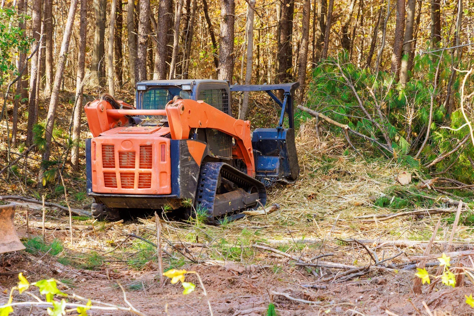Orange and blue utility vehicle in a wooded area, surrounded by cut branches and debris