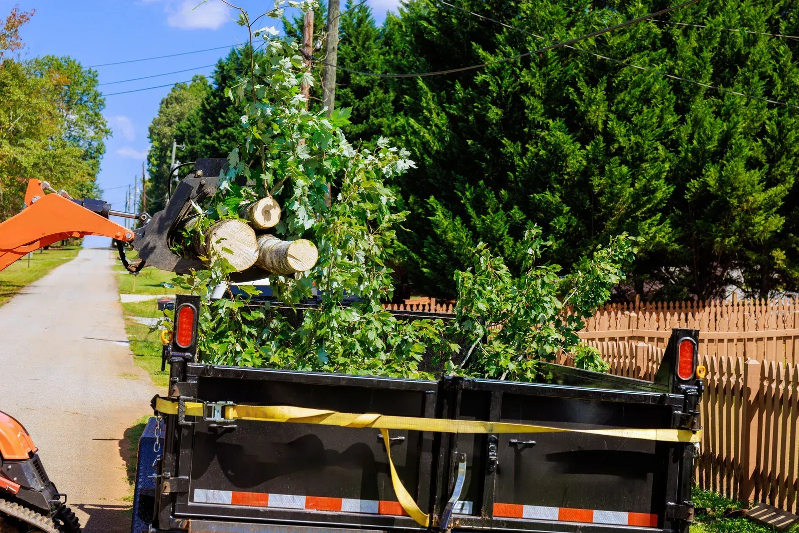 Tree logs loaded on a trailer beside a suburban street with a hedge and fence.