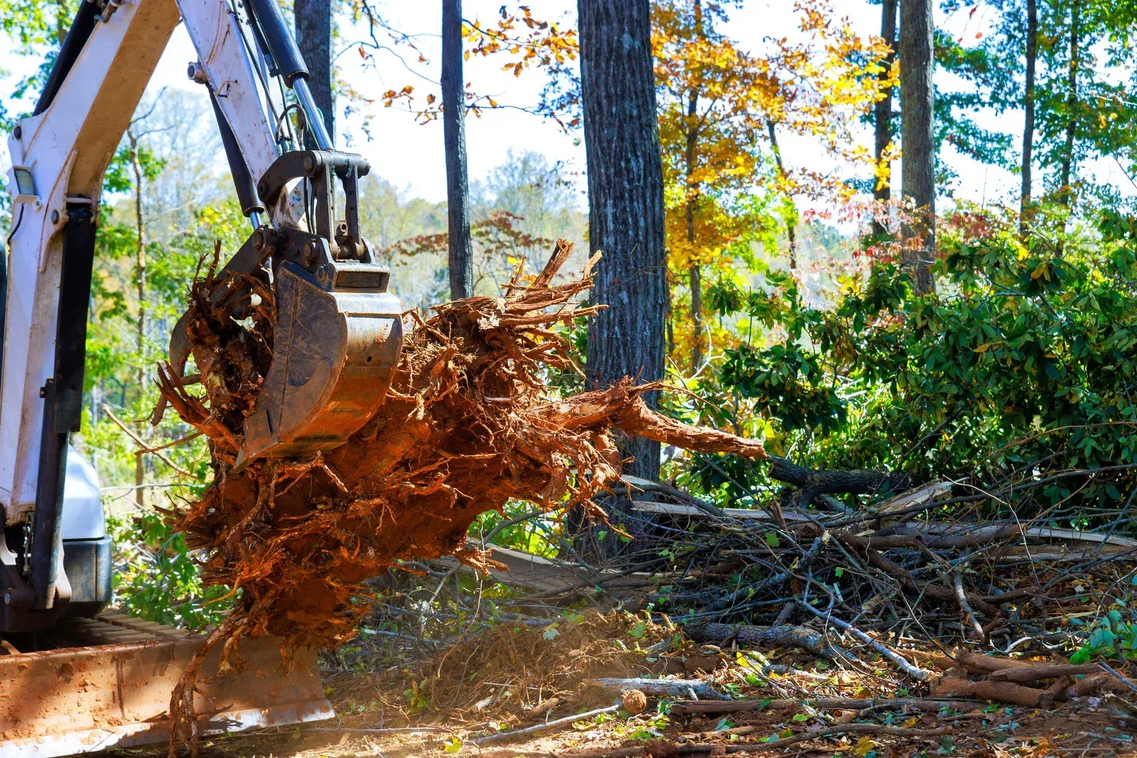 Excavator bucket uprooting a tree stump in a wooded area, with dirt and roots flying.