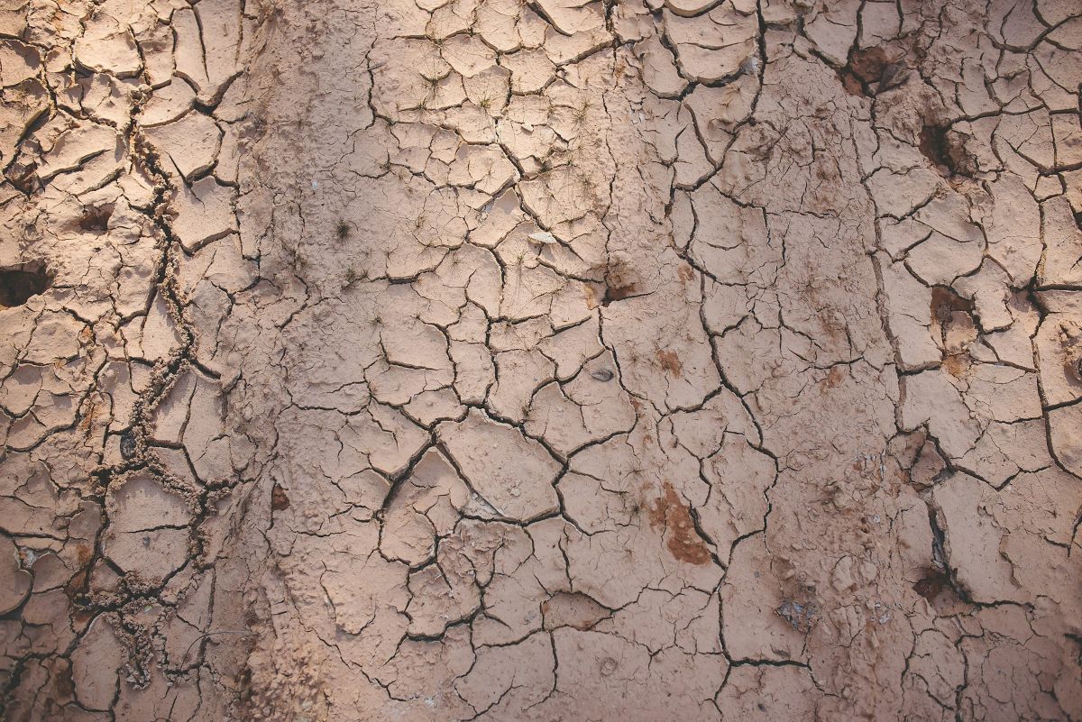 Clay Soil in Surrey Hills