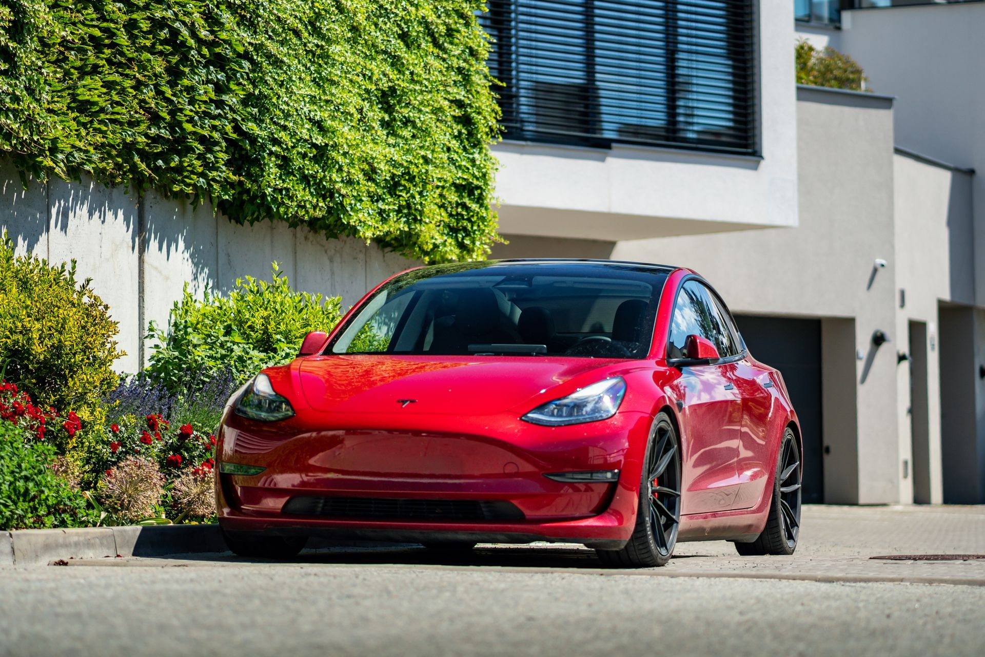 Red Tesla parked on a driveway beside a white house with ivy-covered wall. Red Tesla parked on a driveway beside a white house with ivy-covered wall.
