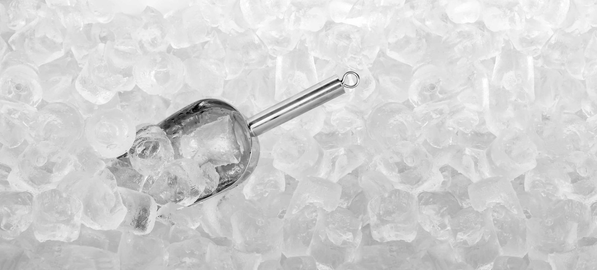 Stainless ice scoop with ice cubes, showcasing fresh ice from a professional ice supplier. Stainless ice scoop with ice cubes, showcasing fresh ice from a professional ice supplier.