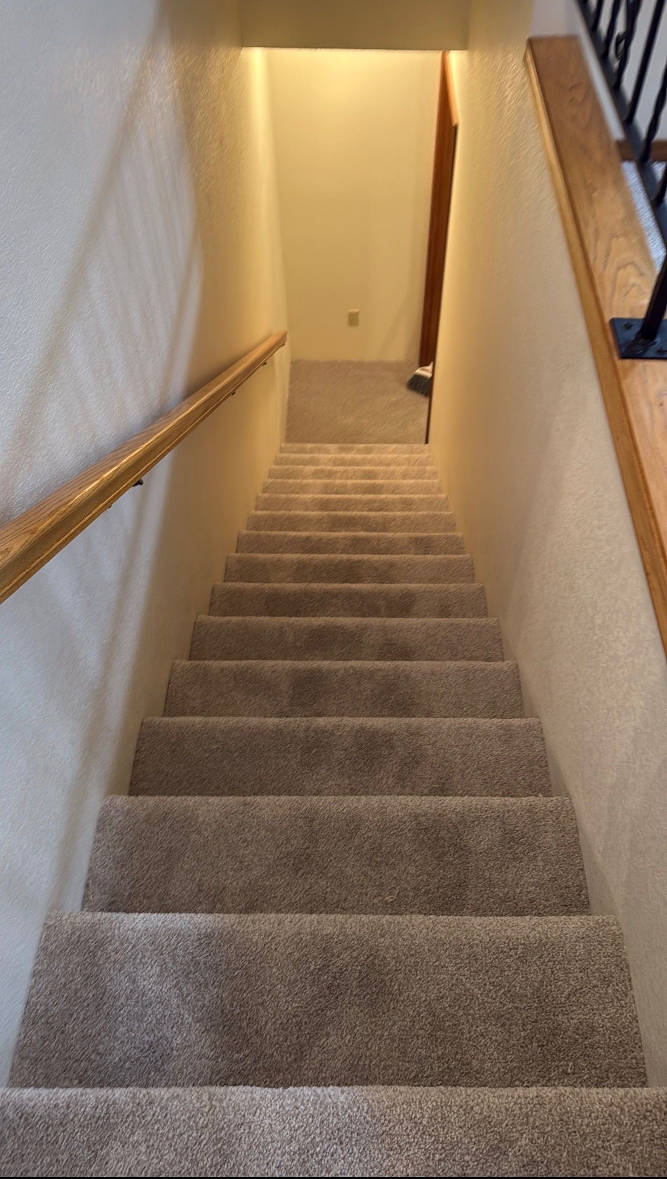 new carpeting going down the stairs in Kennewick home