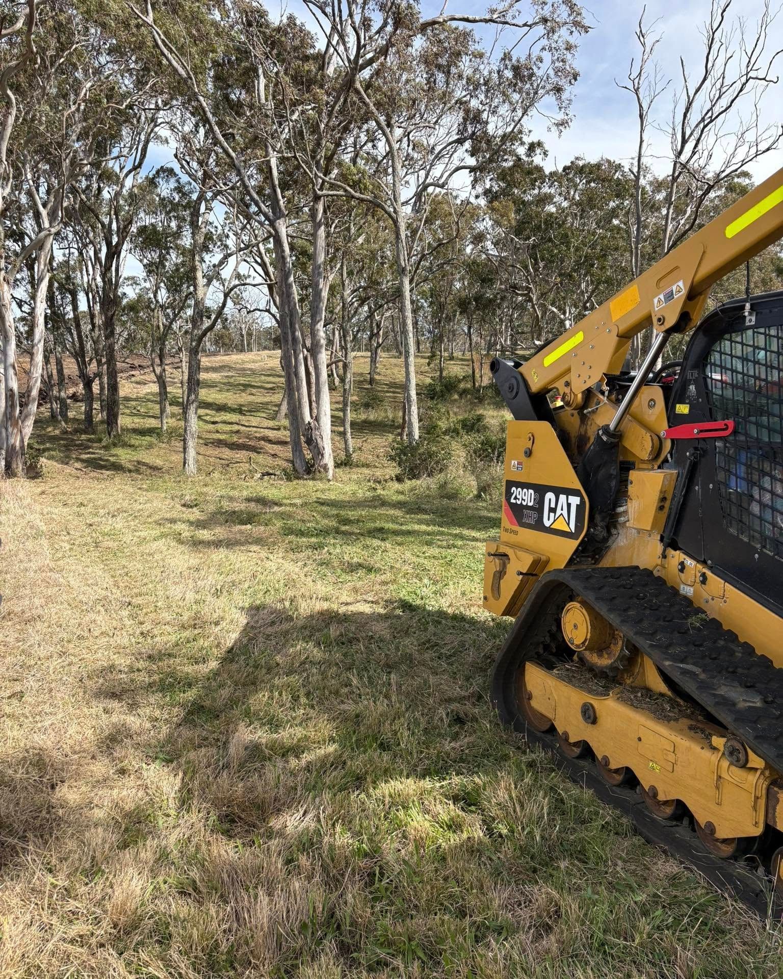 Yellow skid steer on grassy woodland trail with trees in the background