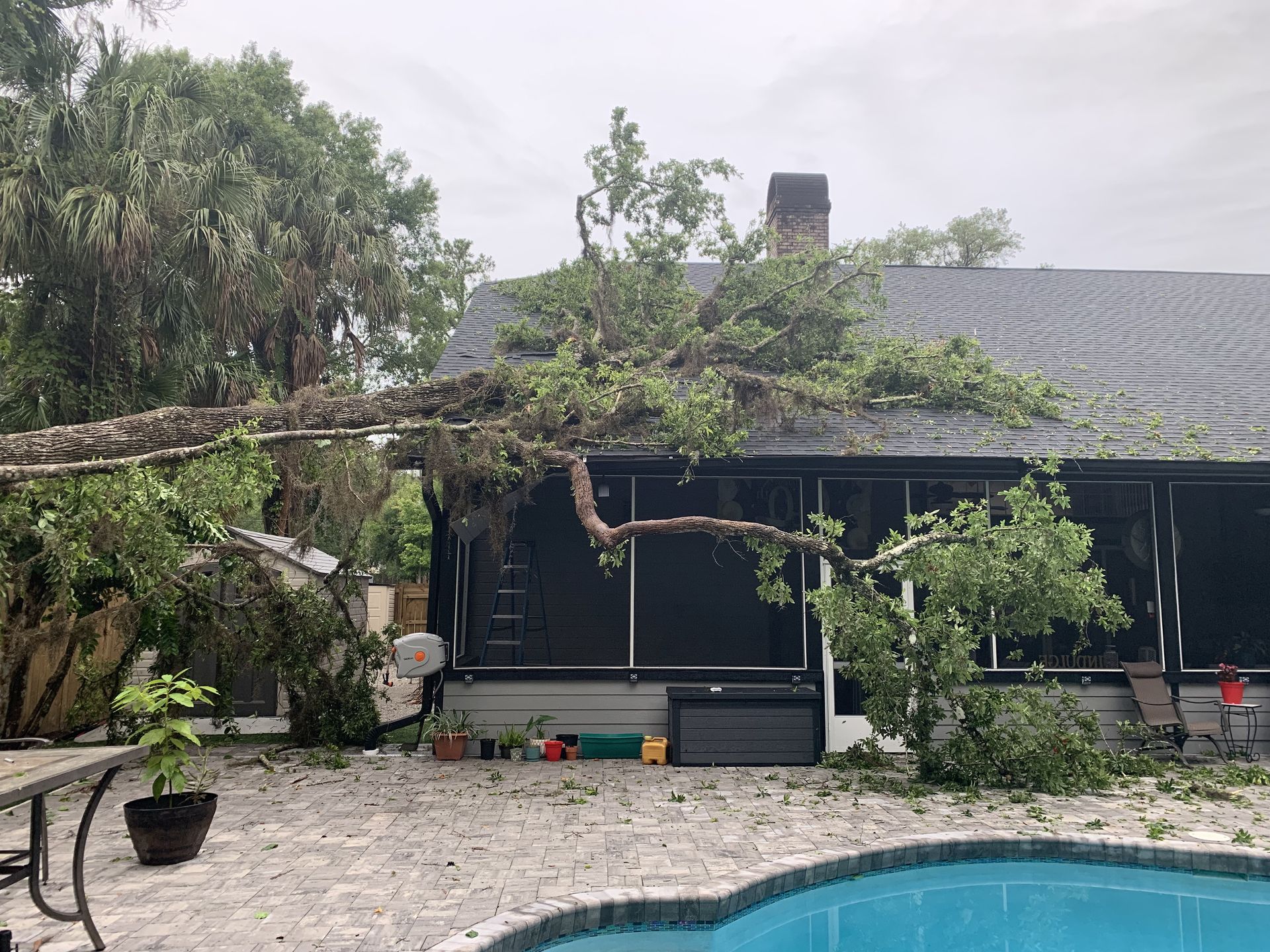 A tree has fallen on the roof of a house next to a pool.