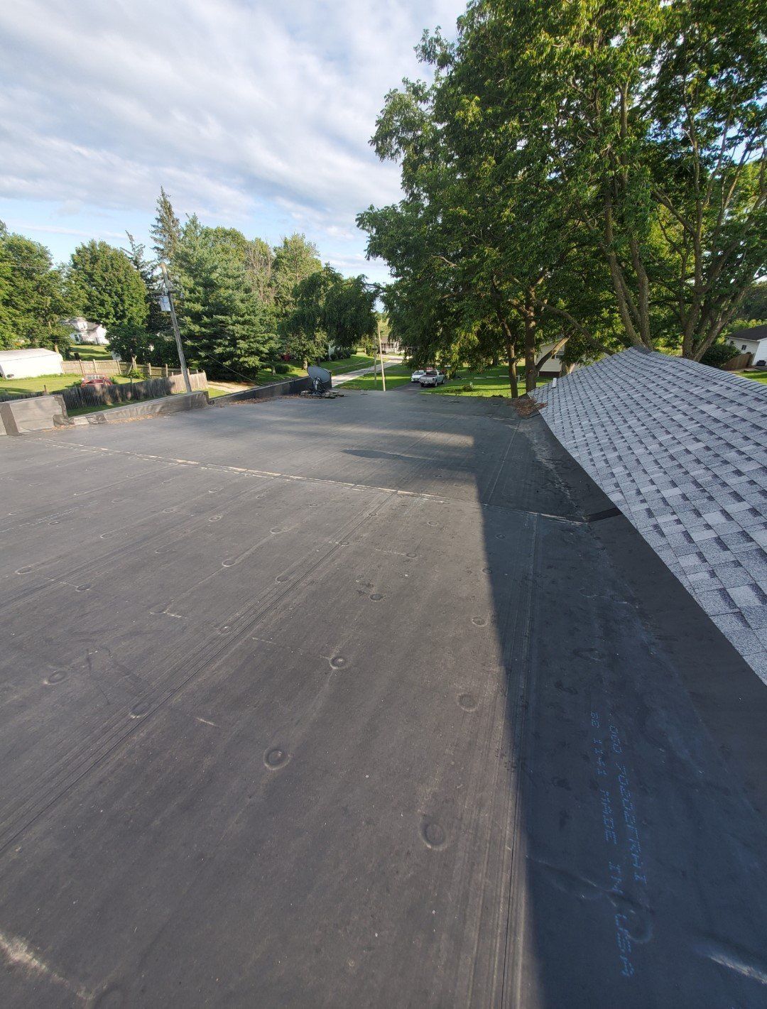 Quiet paved road beside trees and a stone retaining wall on a sunny day