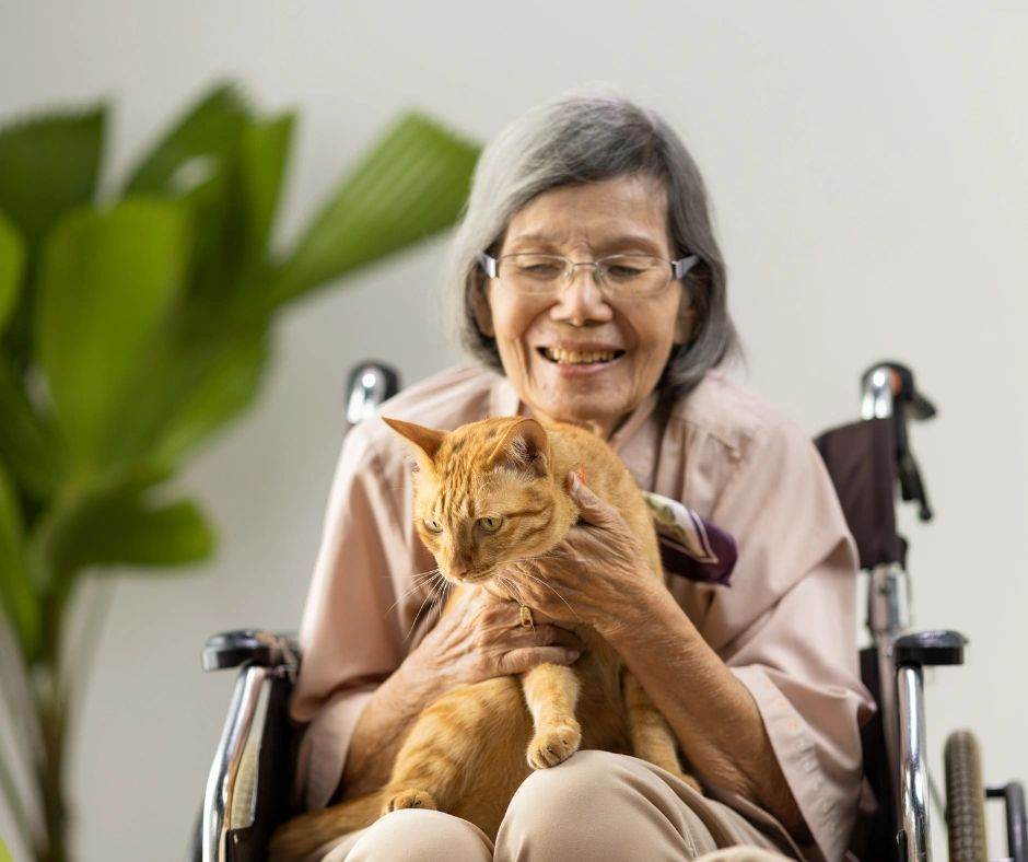 Smiling woman in a wheelchair holding an orange cat indoors