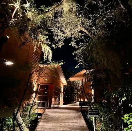 Wooden walkway between illuminated cabins at night, trees overhead.