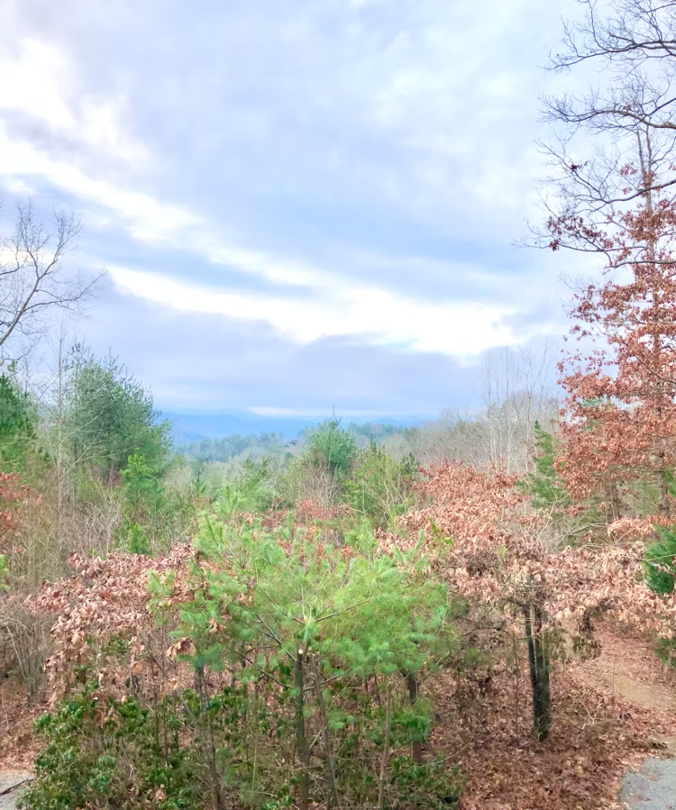 Overlook of trees with autumn leaves, and mountains under a cloudy sky.