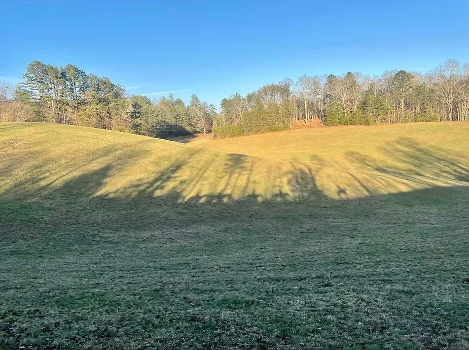 Grassy field with shadows of trees, rolling hills, and a forest under a blue sky.