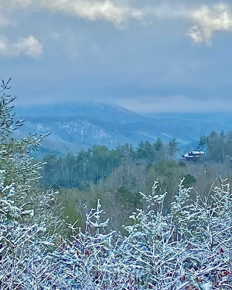 Snow-covered mountain view; pine trees in the foreground, forest and a cabin in the distance. Overcast sky.