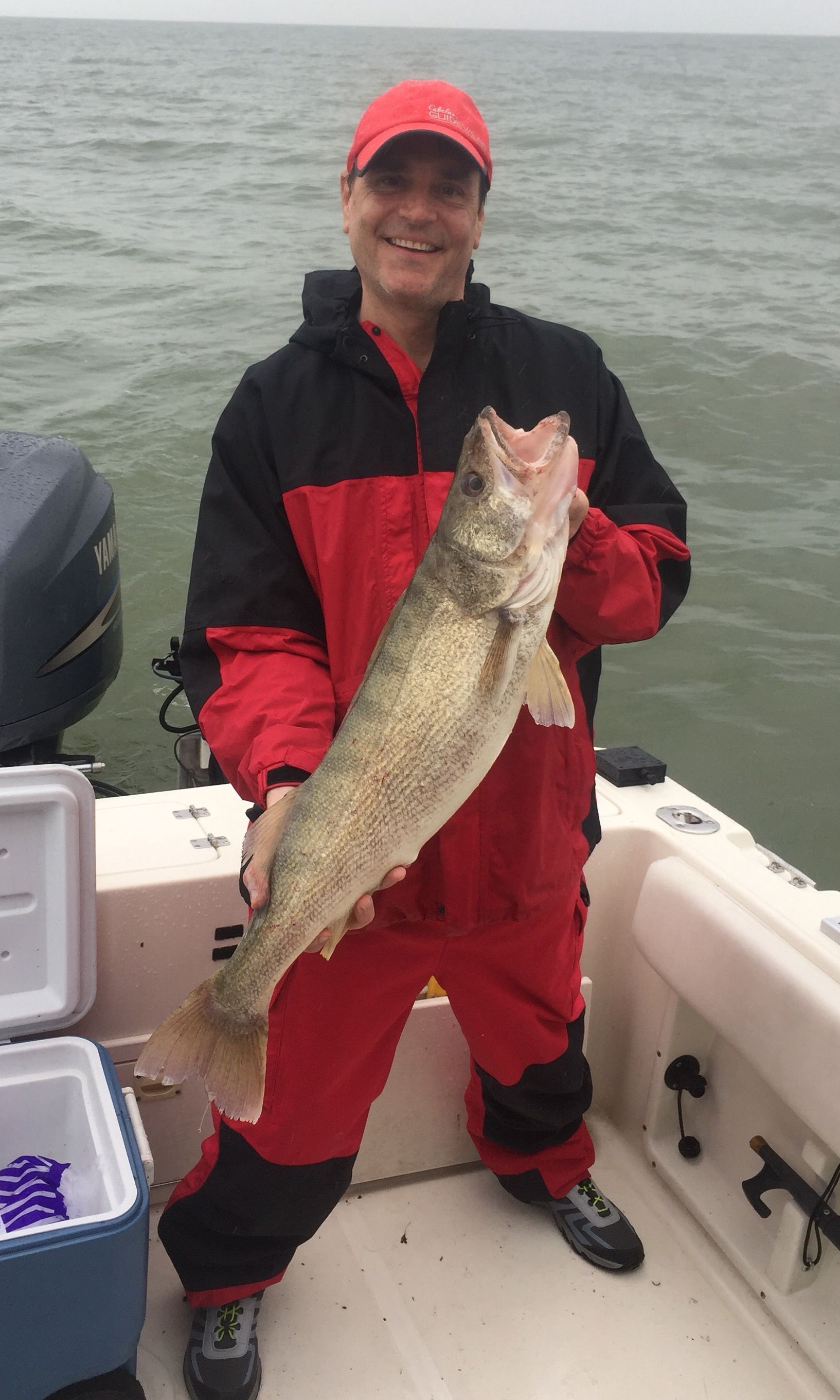 Walleye Charter Catch