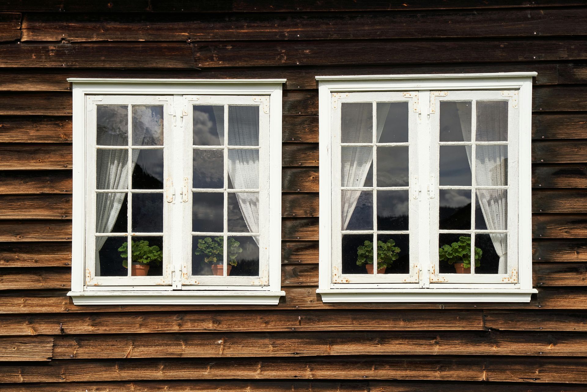 Two white-framed windows on a weathered wooden wall, with small potted plants on the sills