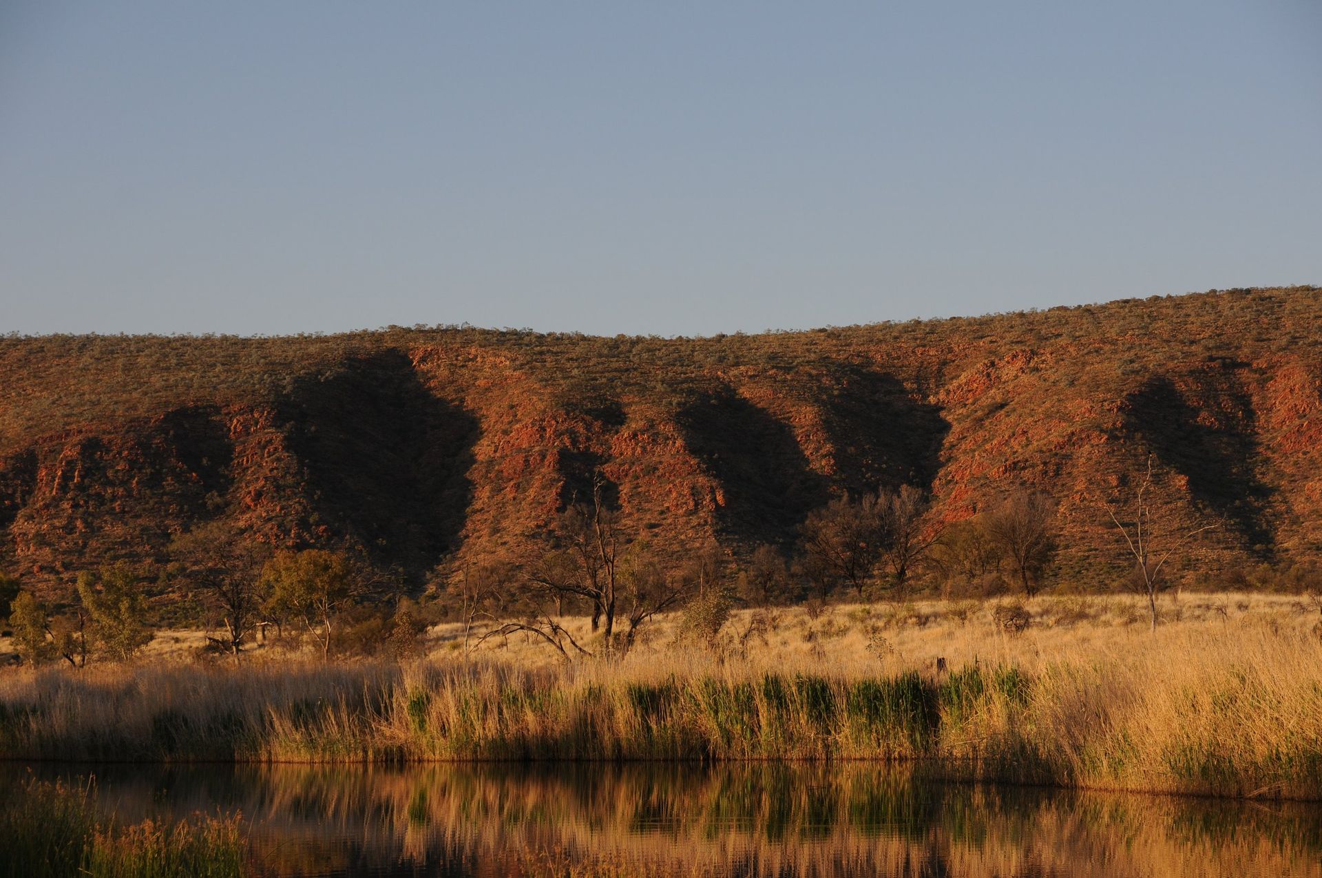 Red rock cliffs overlooking a grassy marsh reflecting in water at sunset.