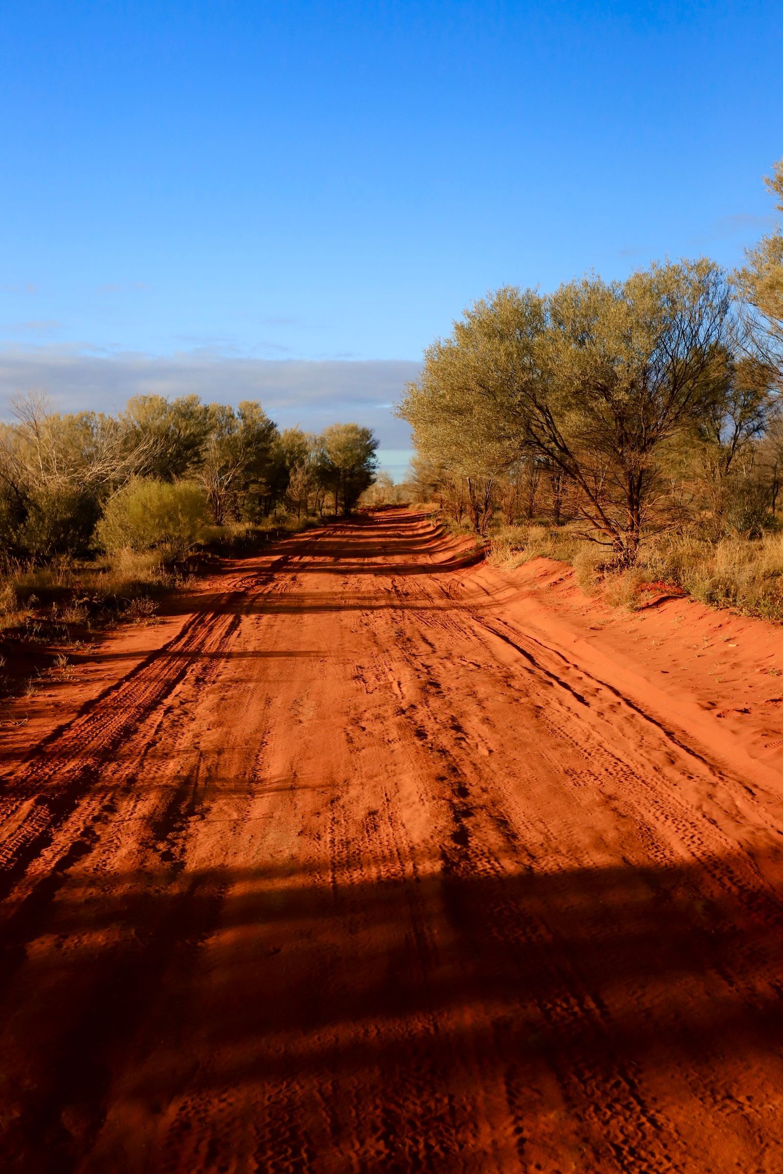 Red dirt road through arid landscape, trees line the sides, blue sky overhead.