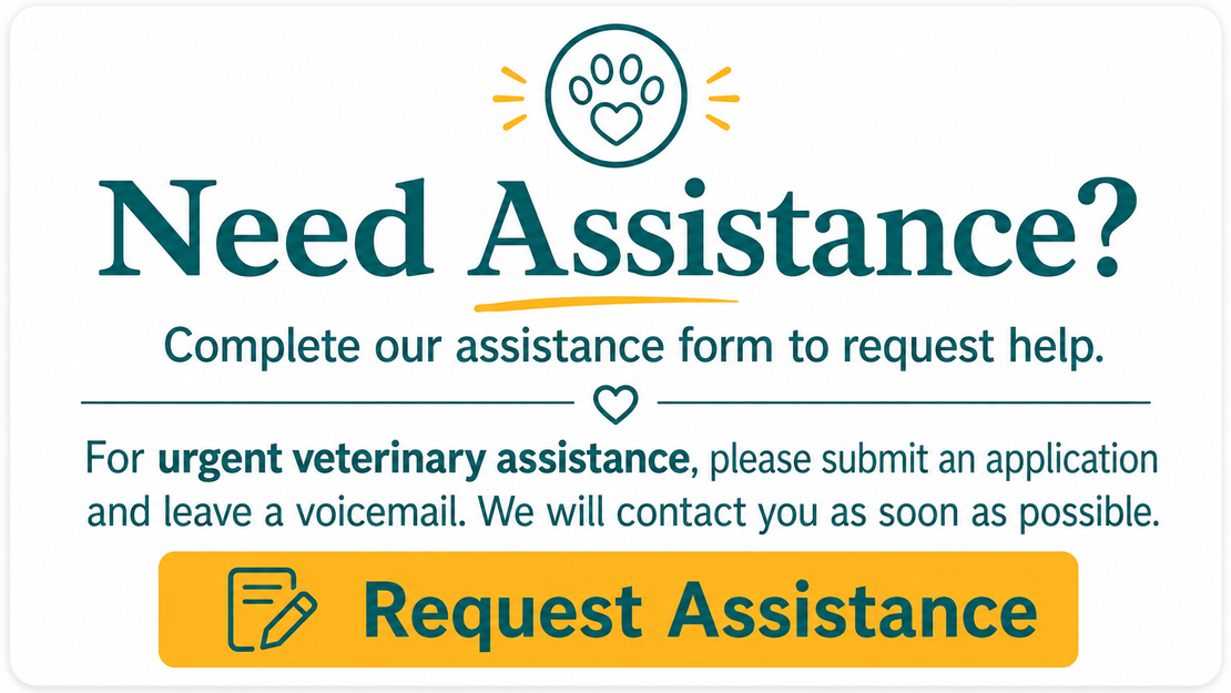 Need Assistance? support card with yellow Request Assistance button and decorative teal and yellow icons