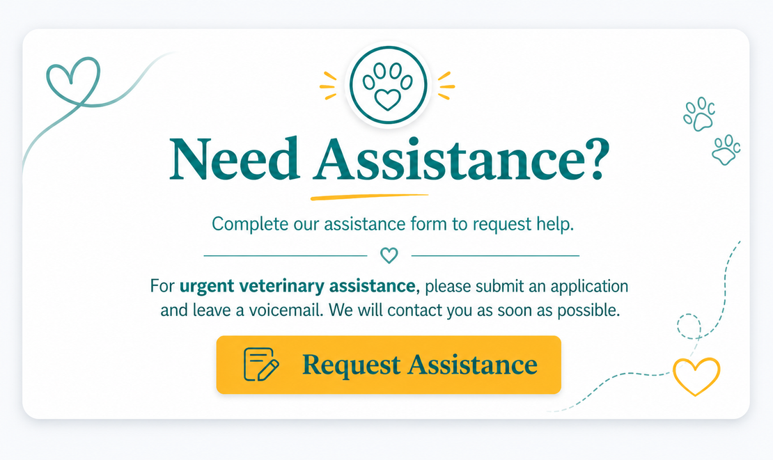 Need Assistance? support card with yellow Request Assistance button and decorative teal and yellow icons