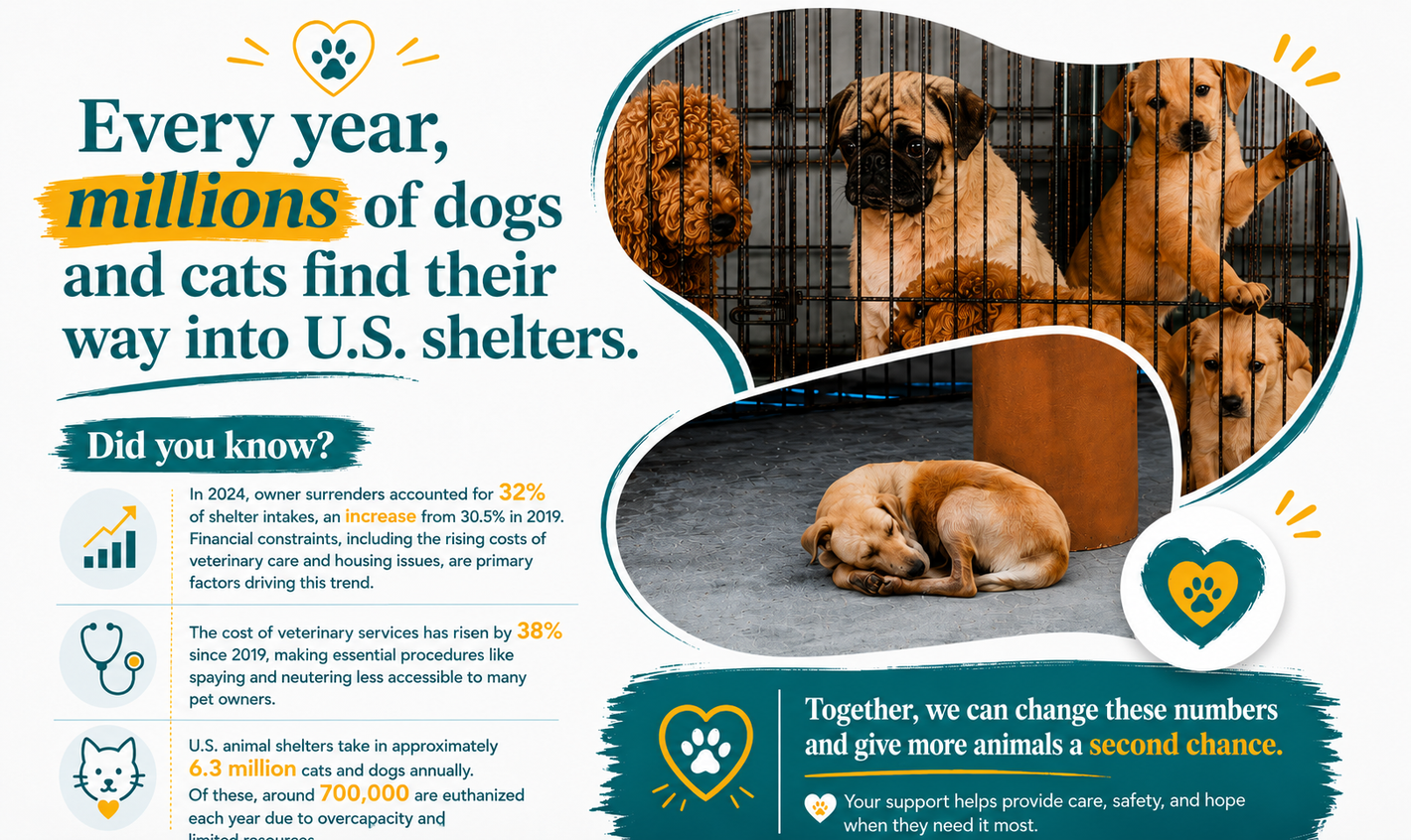 Infographic: every year millions of dogs and cats find homes in U.S. shelters, with photos of sheltered pets.