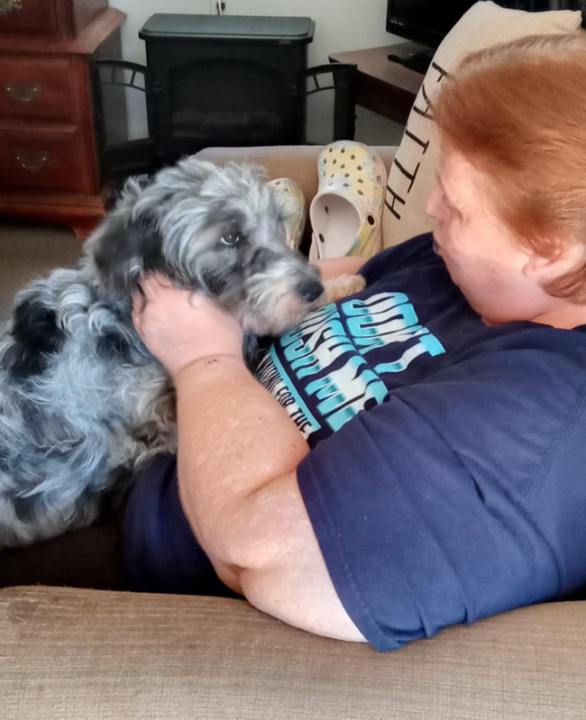 A healthy, happy pet resting at home
