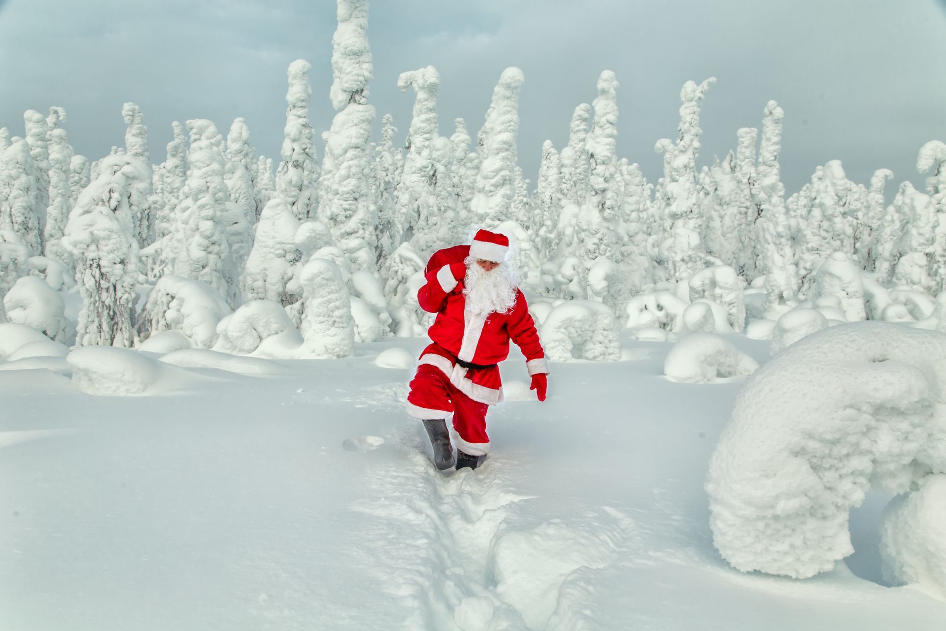 3 Night Trip: Sleighbell Spectacular