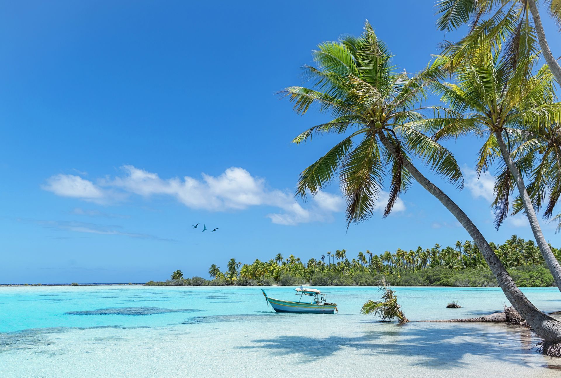 French Polynesia