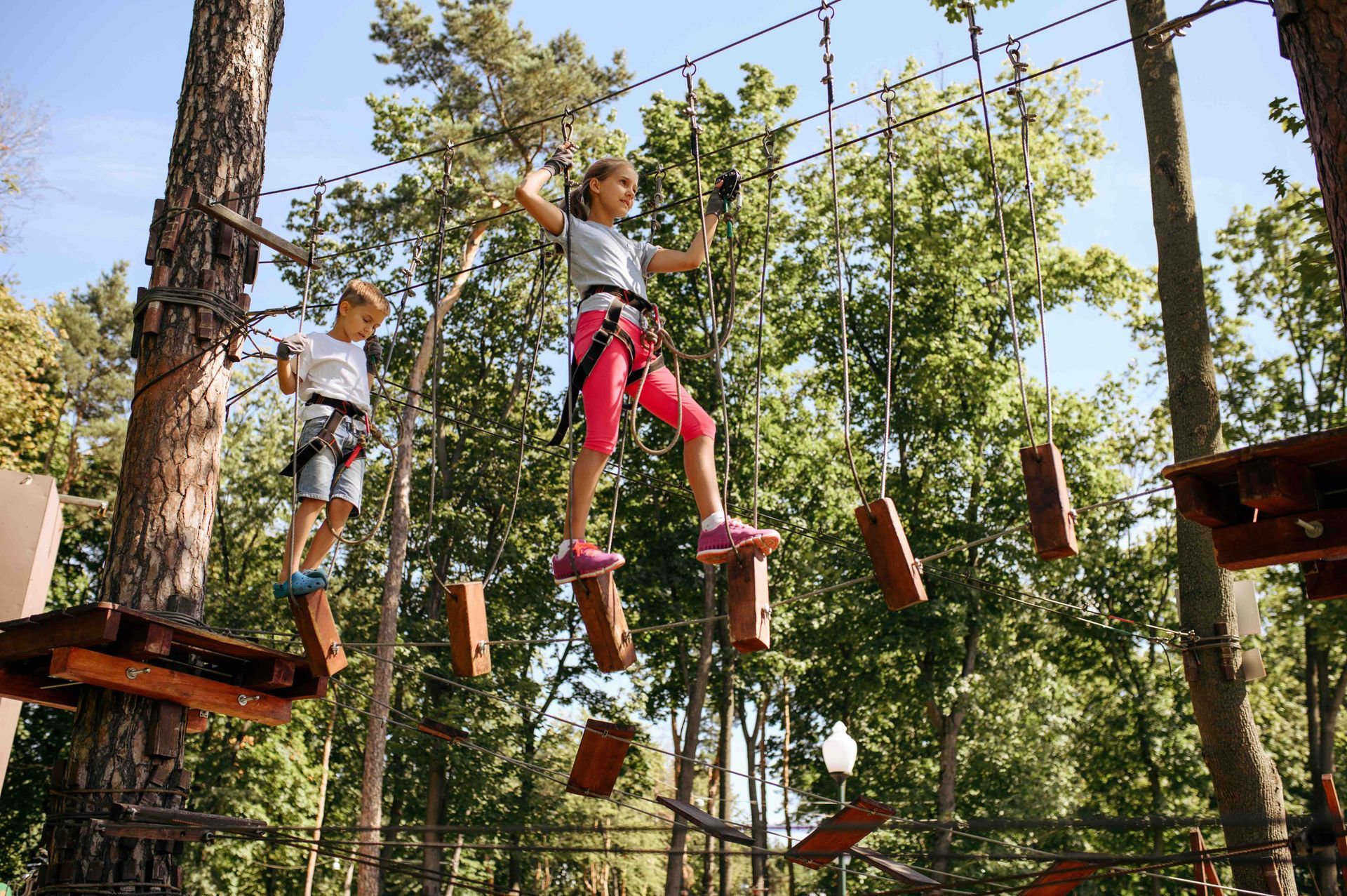A girl and a boy are standing on a ropes course in the woods.