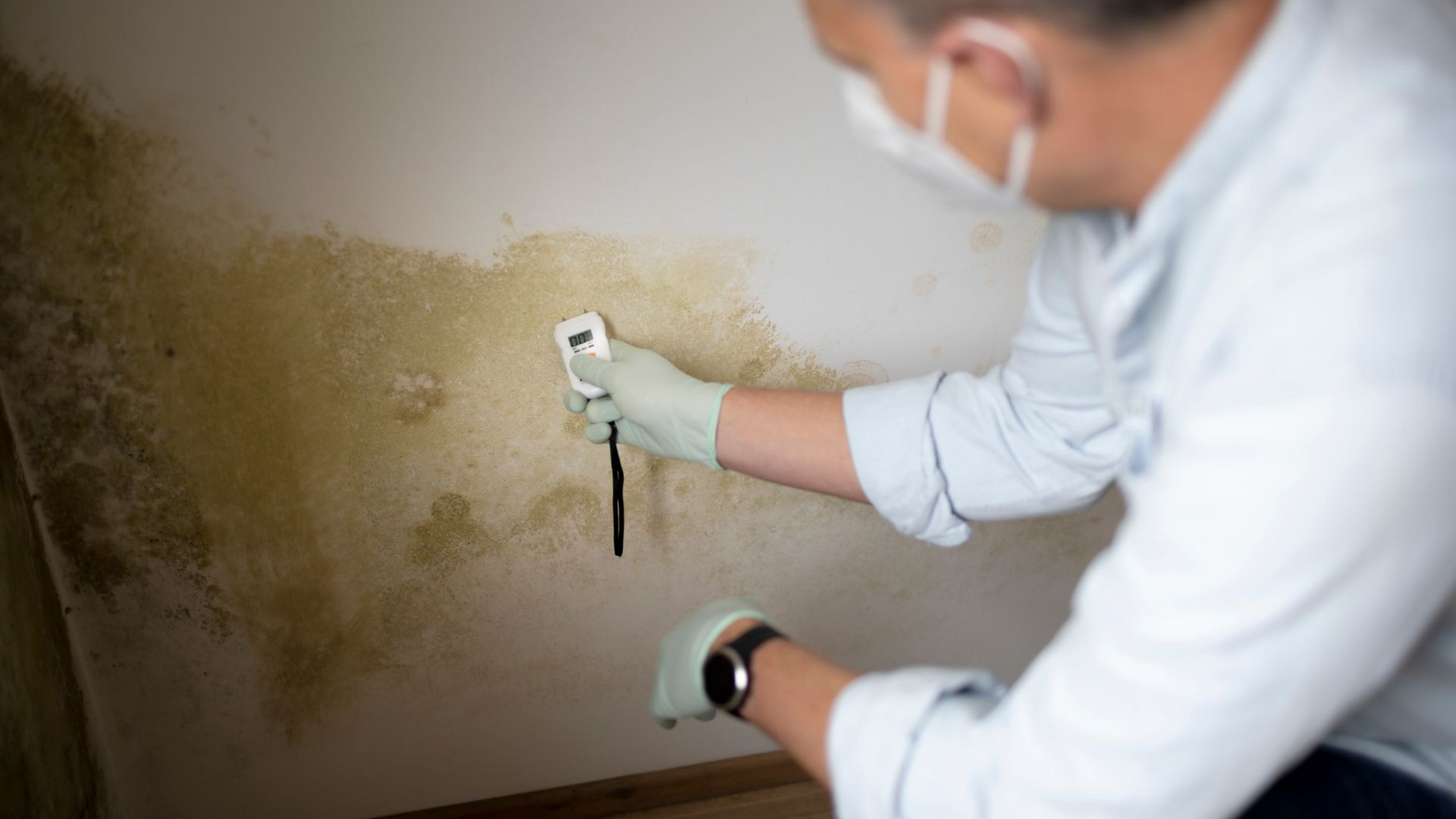A person wearing gloves and a mask uses a moisture meter to inspect a wall covered with large patches of mold.