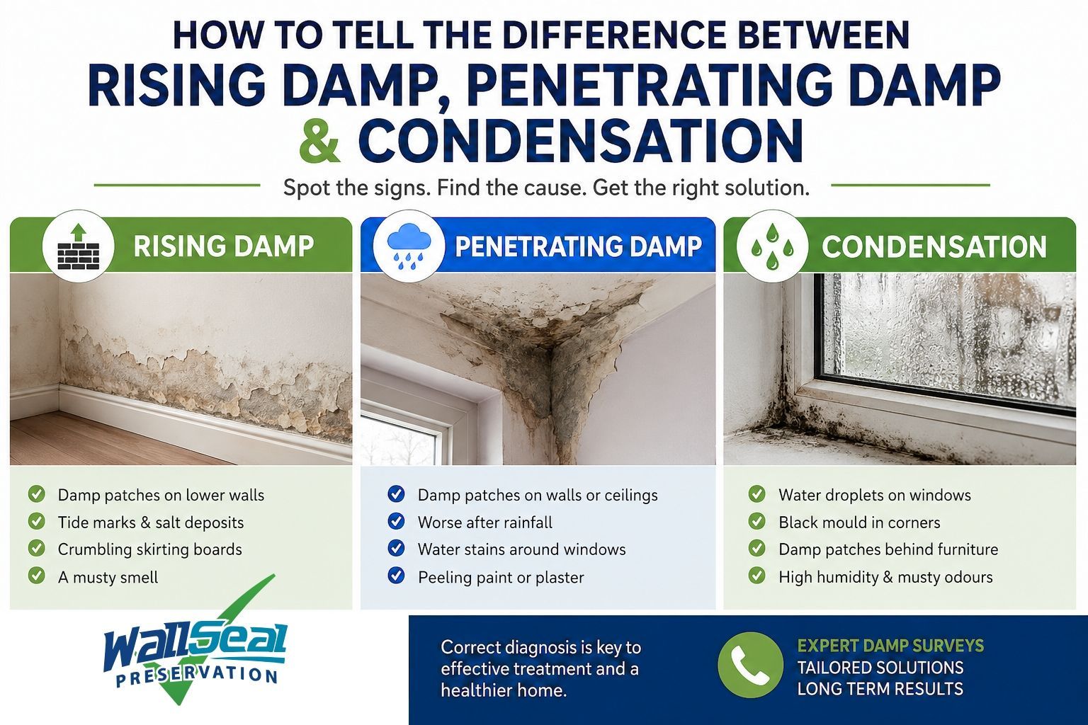 Infographic comparing rising damp, penetrating damp and condensation with green, blue and teal panels