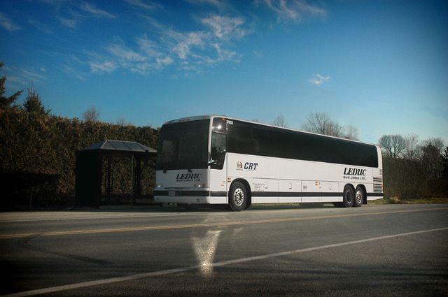 White coach bus parked at a roadside stop under a blue sky