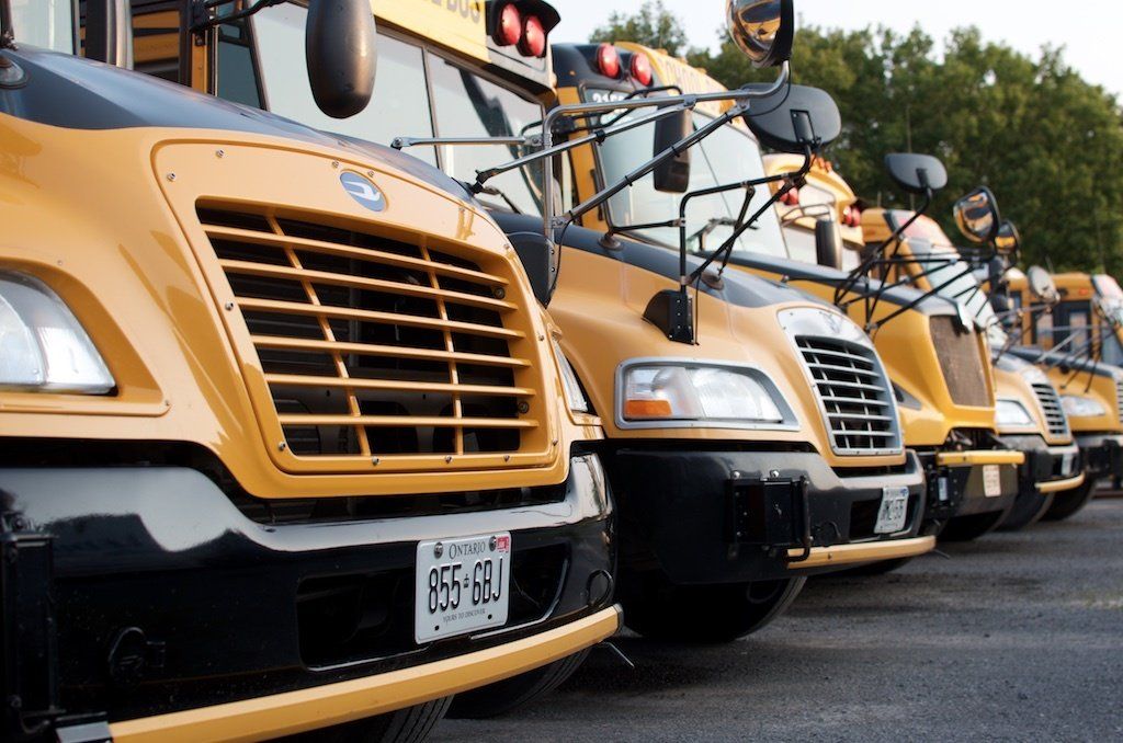 Yellow school buses lined up in a parking lot, viewed from the front at a low angle.