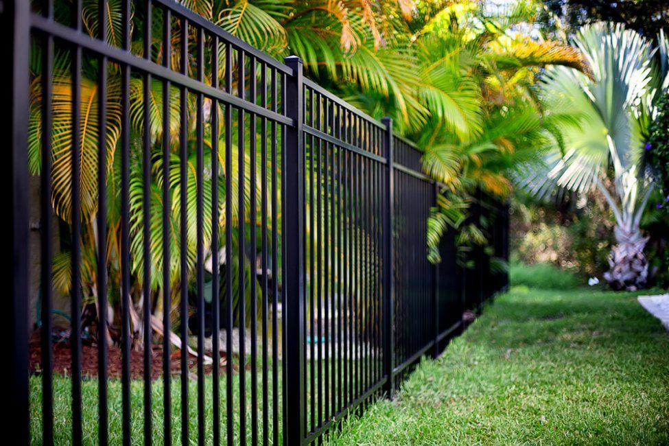 A Black Metal Fence Surrounds a Lush Green Yard — Coastline Glass Pool Fencing in Smiths Lake, NSW