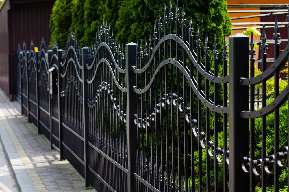 A Black Wrought Iron Fence Is Surrounded by Trees on A Sidewalk — Coastline Glass Pool Fencing in Taree, NSW