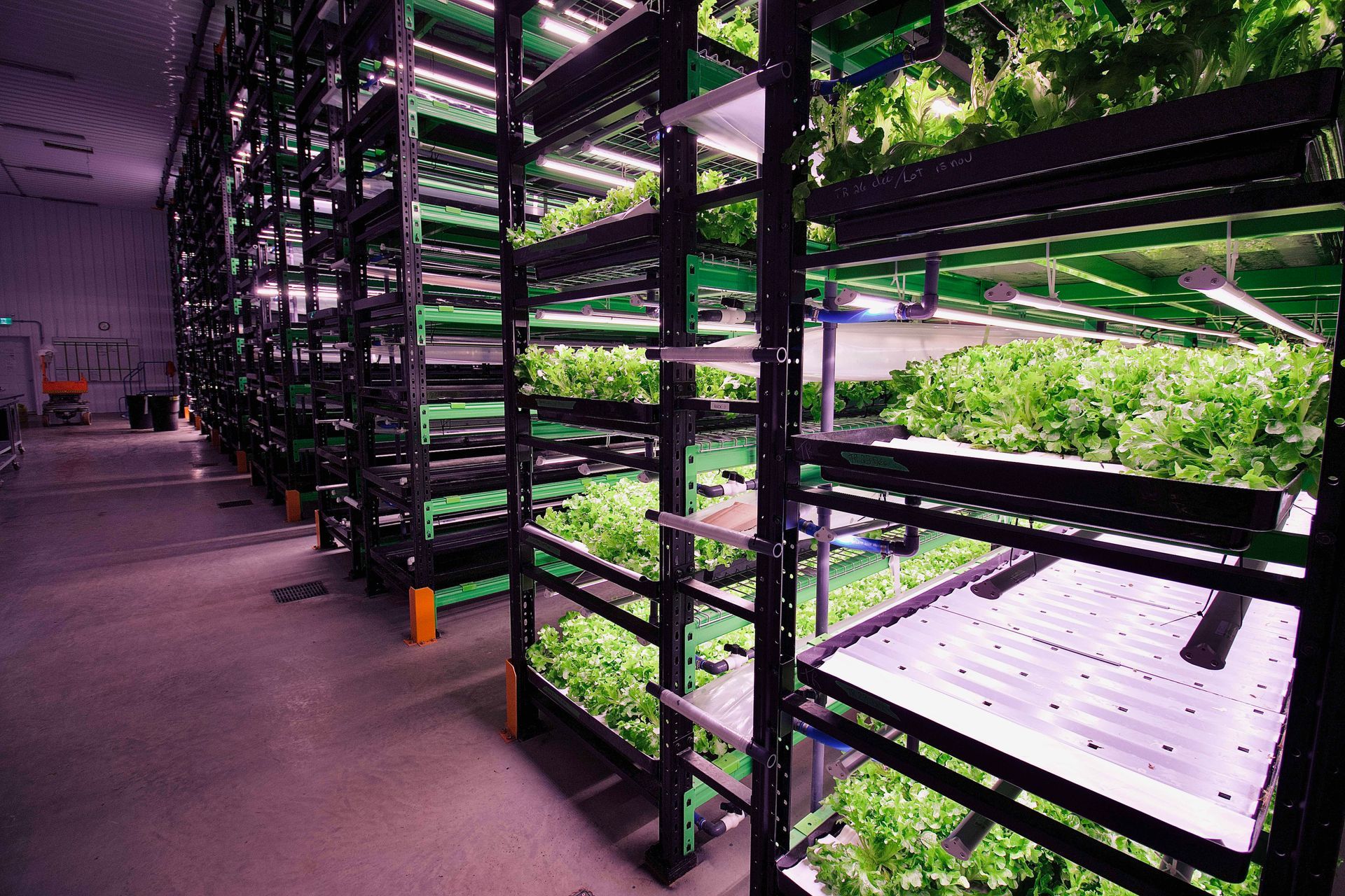 Des rangées d'étagères d'agriculture verticale d'intérieur, éclairées par une lumière artificielle vive et abritant une végétation luxuriante, dans une vaste installation.
