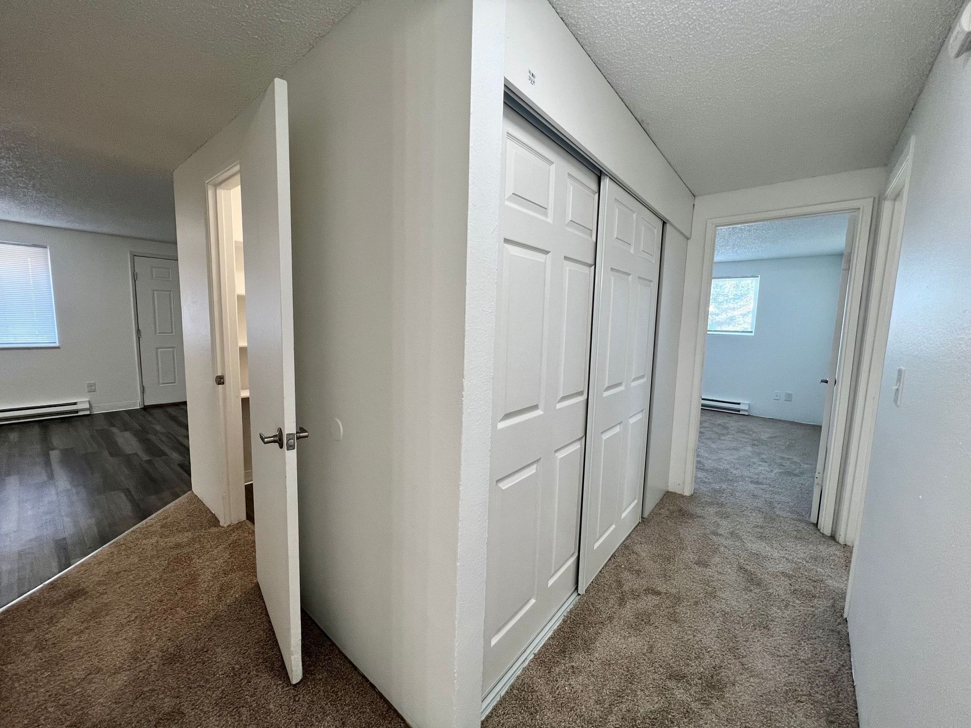 Bright hallway with carpet, white doors, and an open door leading to a room with wood flooring.