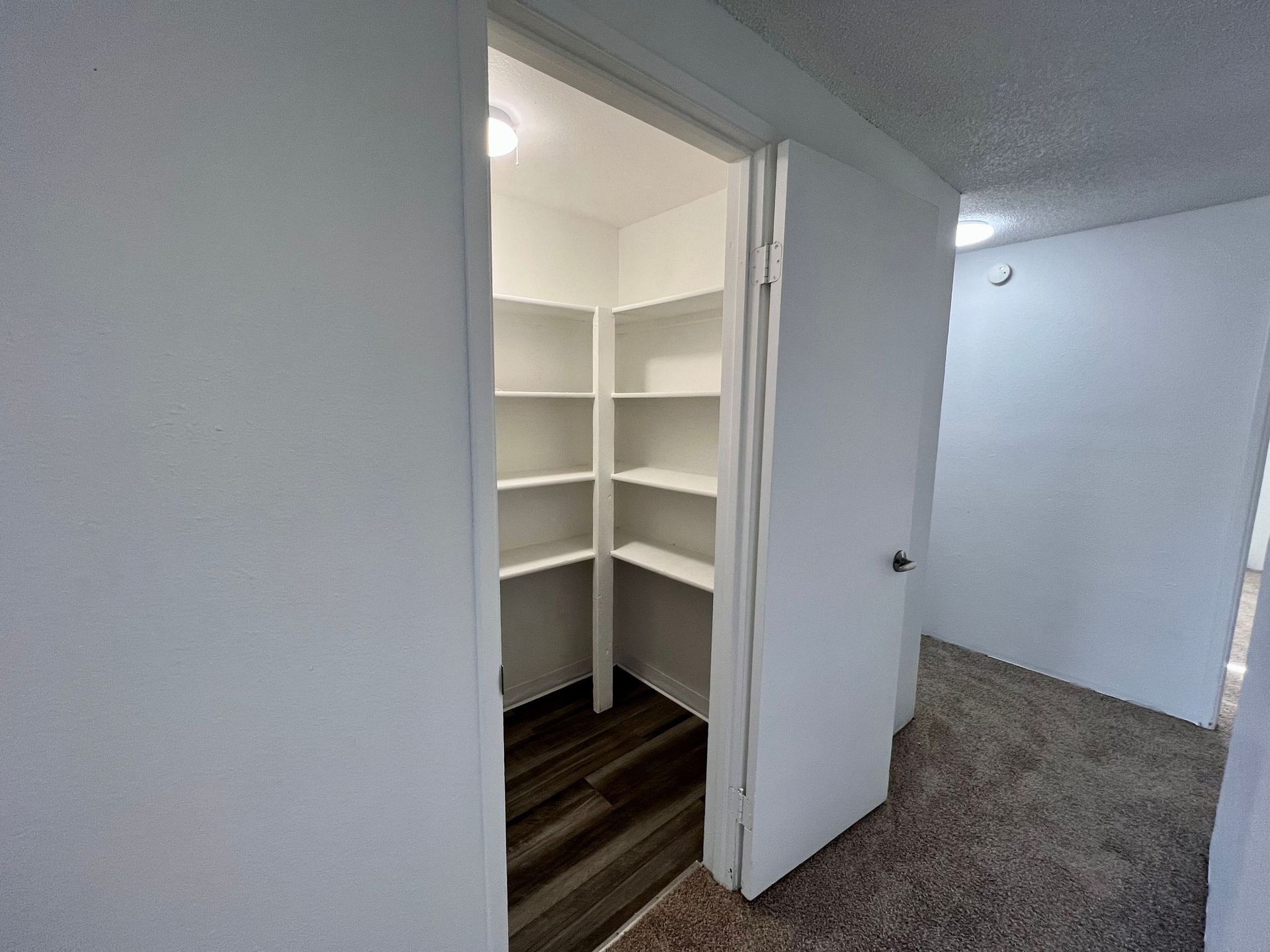 Open closet with white shelves and dark wood floor beside a carpeted hallway
