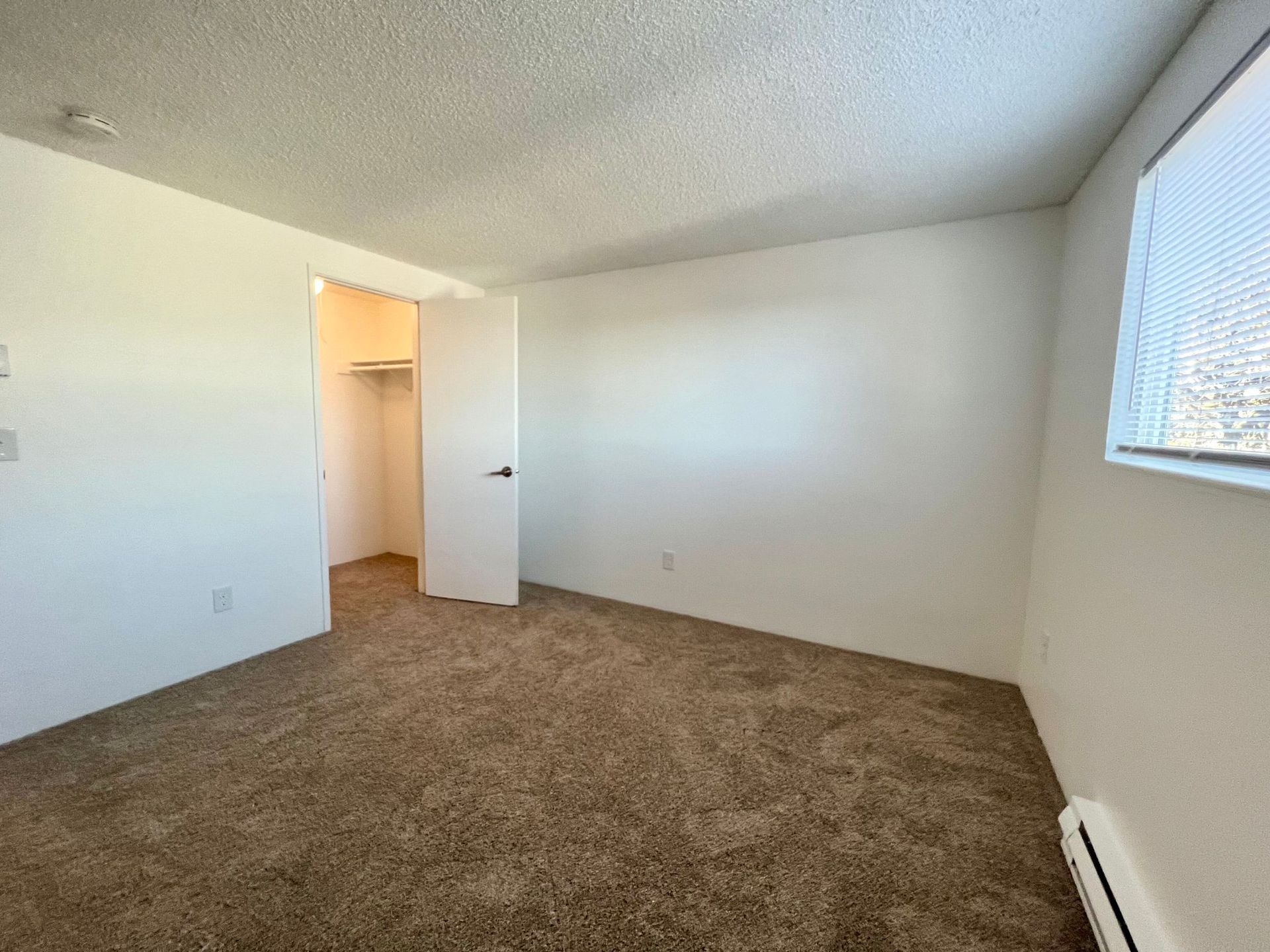 Empty beige bedroom with carpet, white walls, a doorway, and a window letting in light