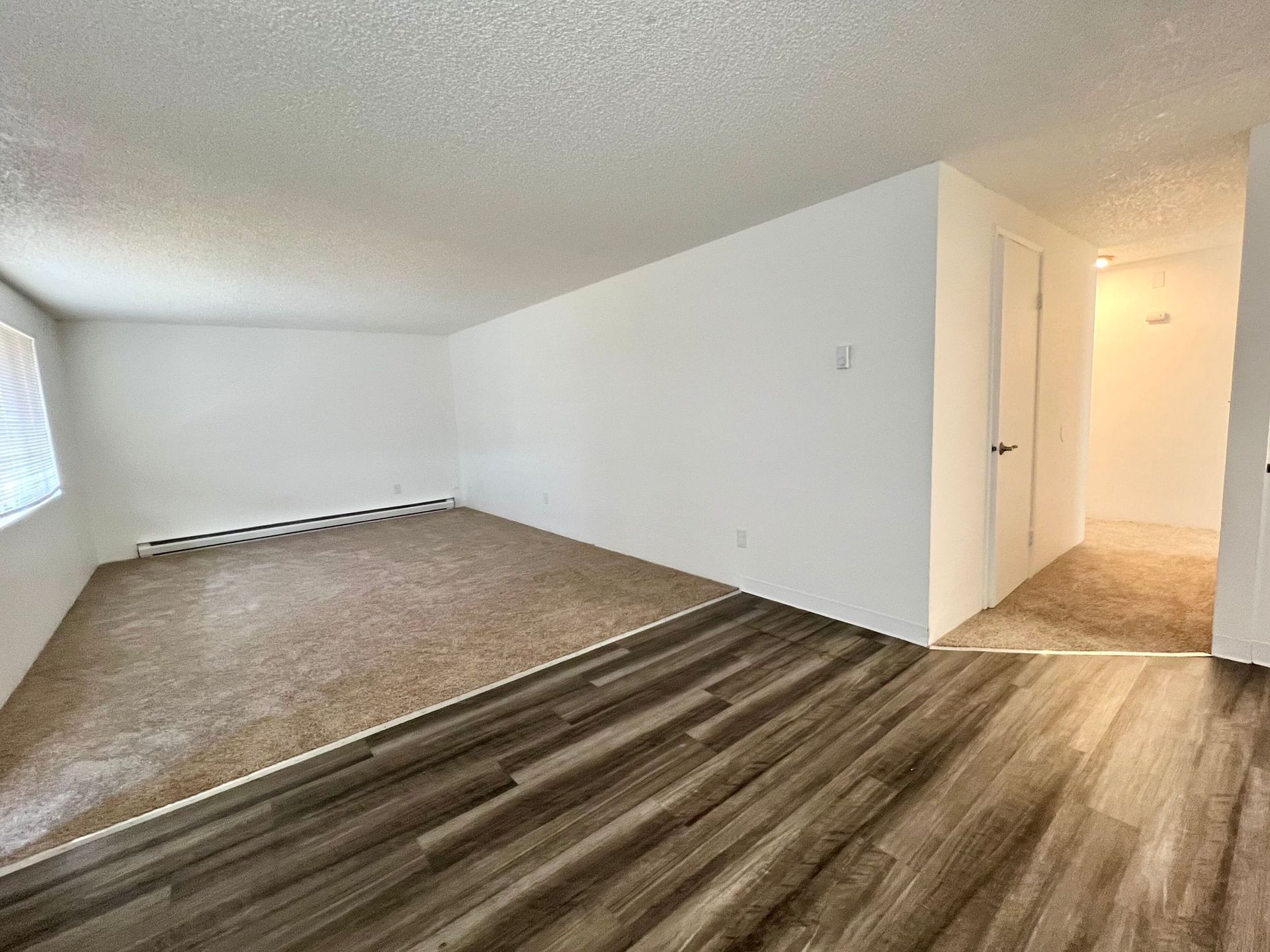 Empty living room with white walls, carpet and wood-look flooring, and a hallway doorway on the right