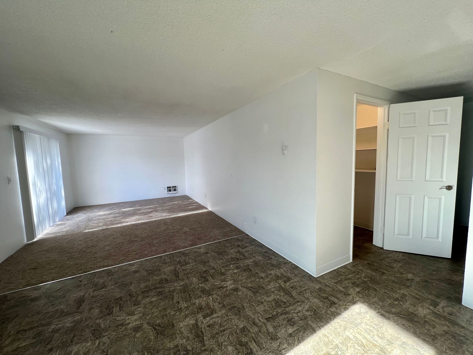Empty carpeted living room with white walls, large window light, and an open closet door.