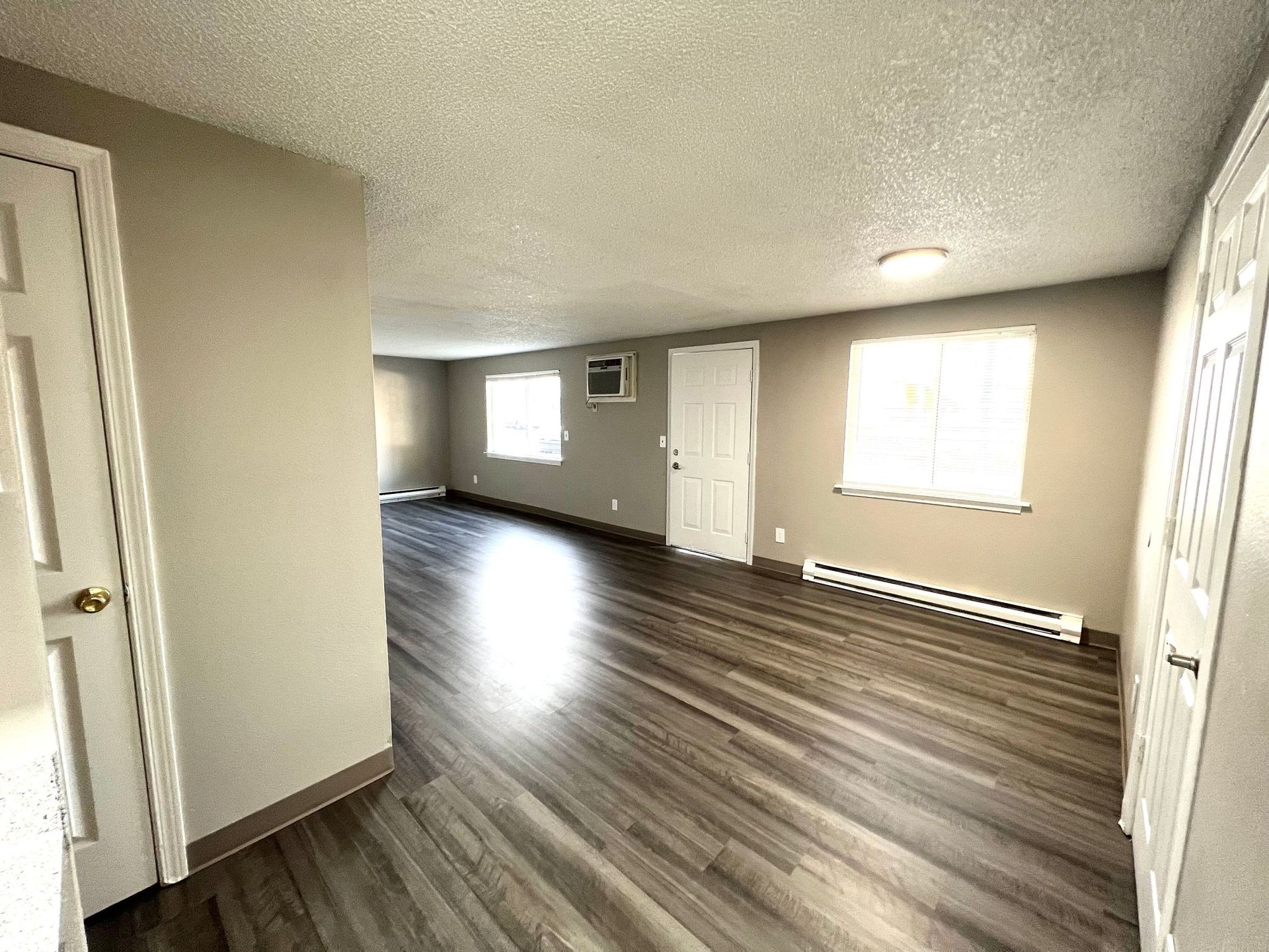 Empty living room with gray wood floors, white doors, and bright windows.