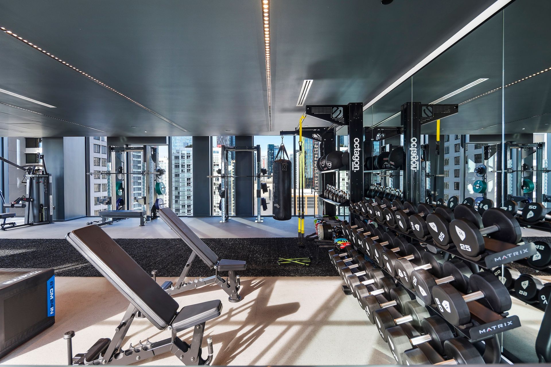 Modern gym interior with dumbbells, benches, mirrors, and city views through large windows.