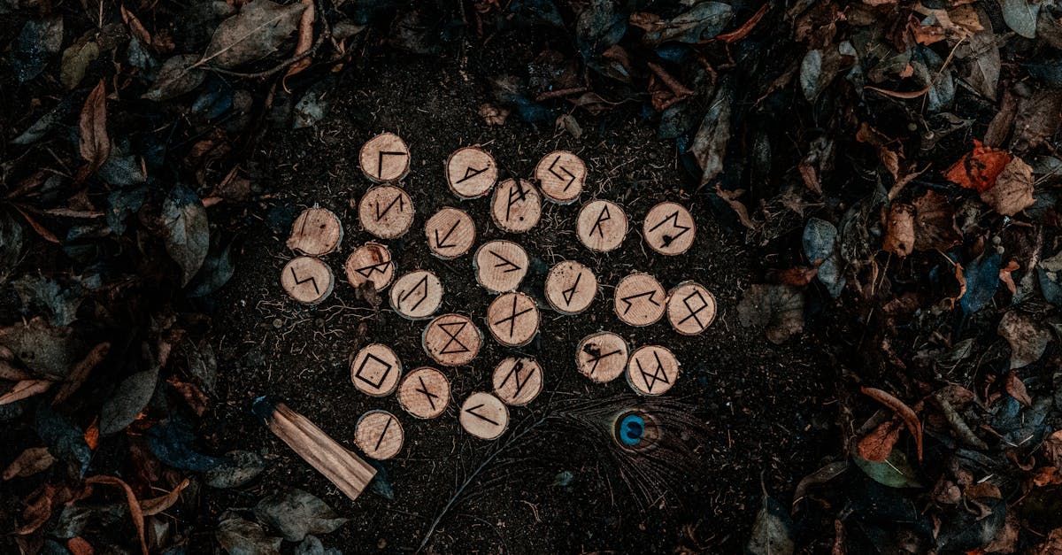A bunch of wooden circles with numbers on them are laying on the ground.