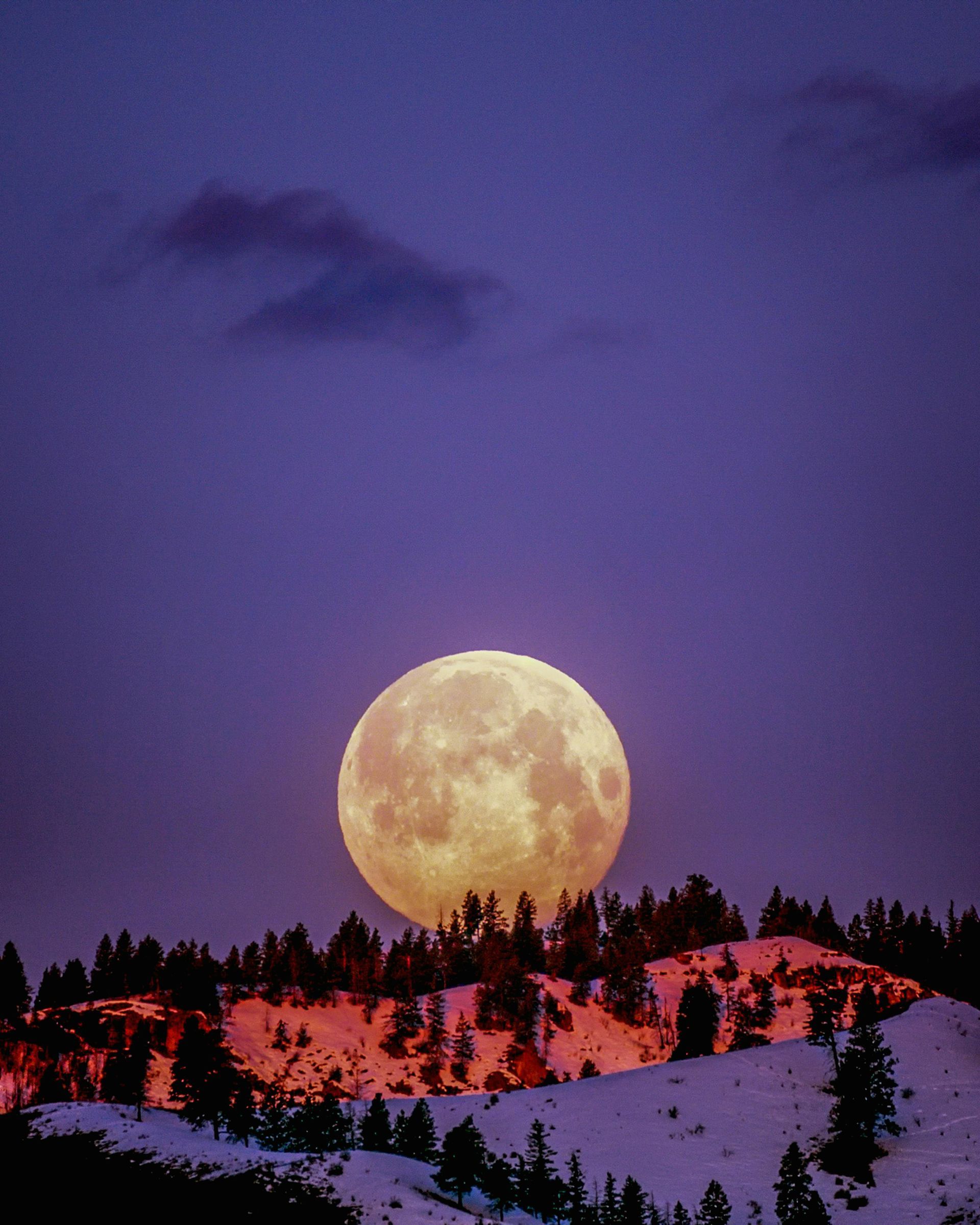 Full moon rising over snow-covered mountain, silhouetted trees, purple sky.