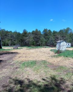 Open dirt clearing with grass, bordered by trees under a bright blue sky
