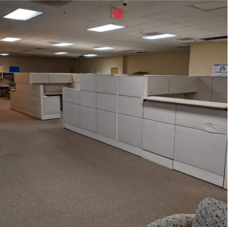 Empty office with beige carpet, white cubicle partitions, and fluorescent ceiling lights