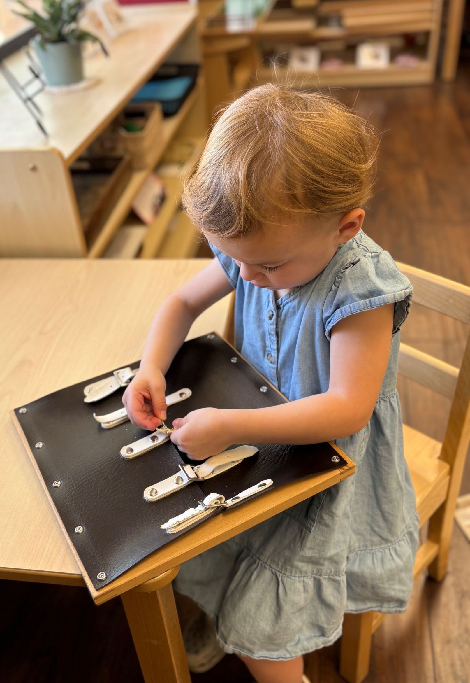 Montessori Toddler program