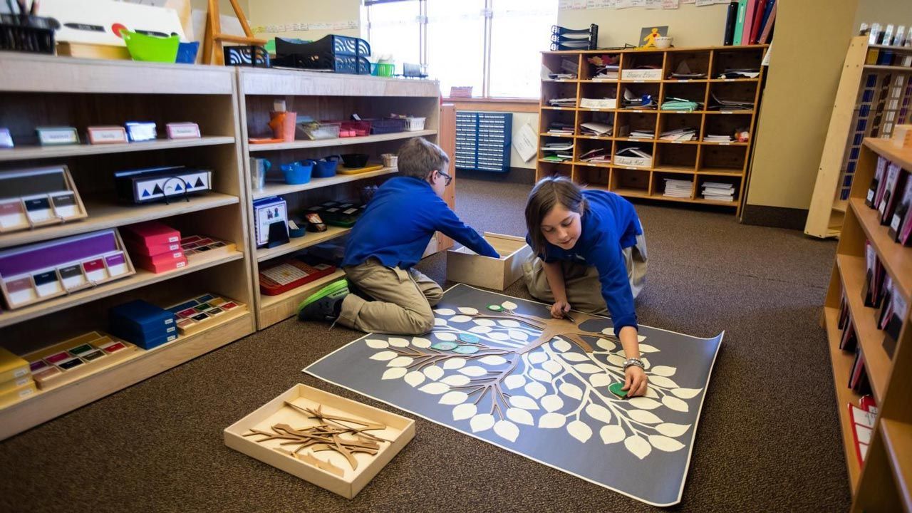 Two Montessori students are working with a tree of life on the floor in a classroom.