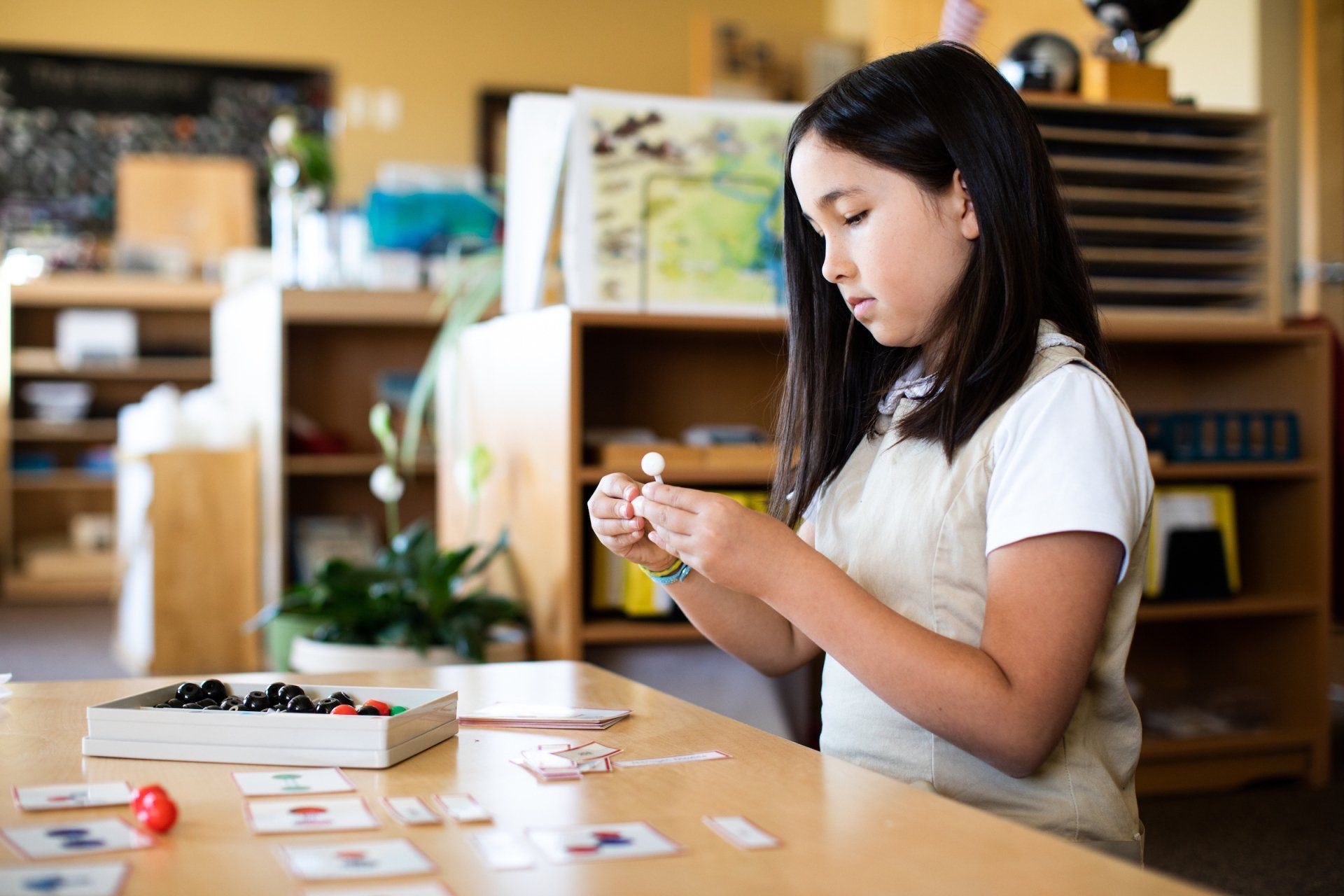 Montessori elementary program