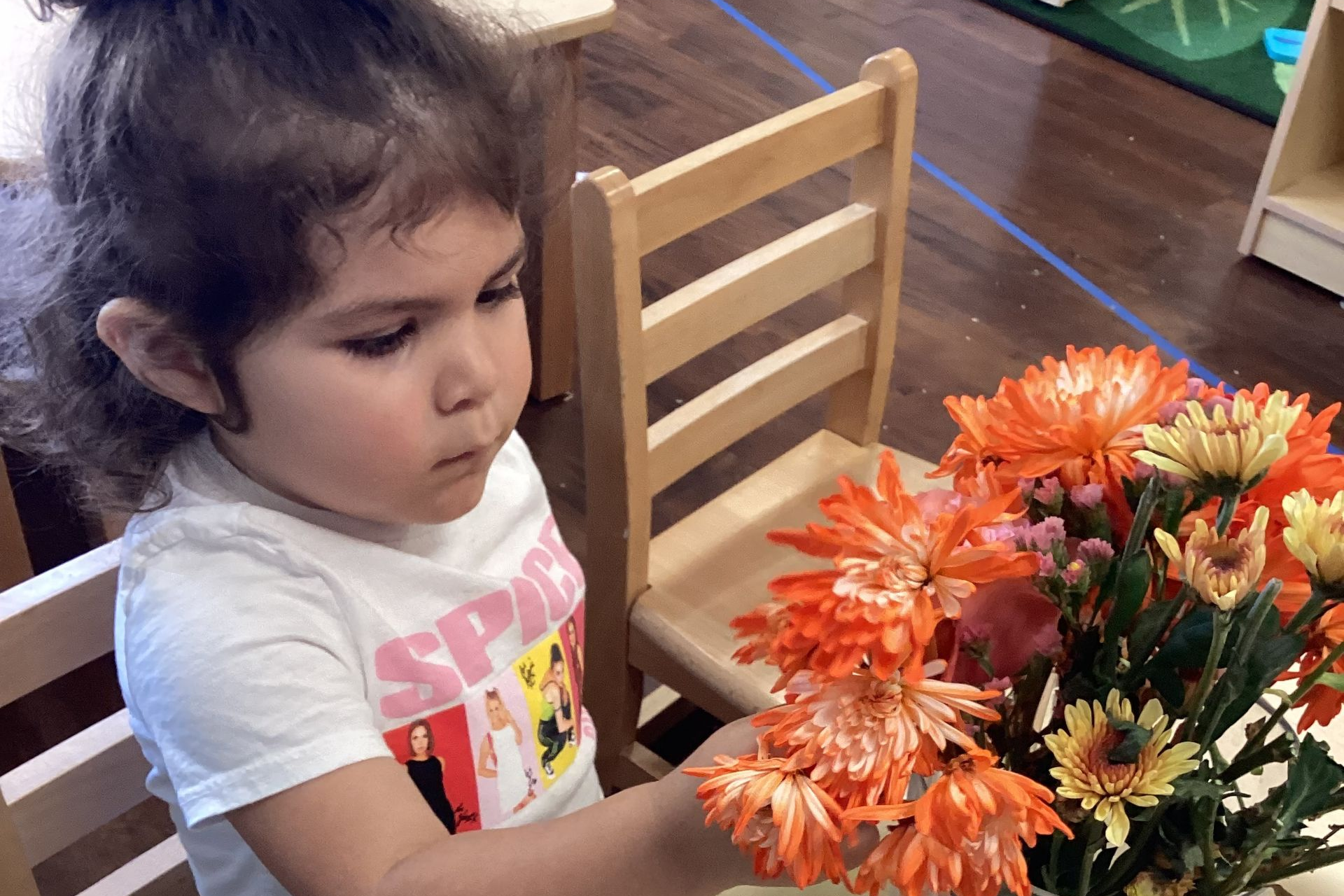 Montessori Toddler working in the classroom