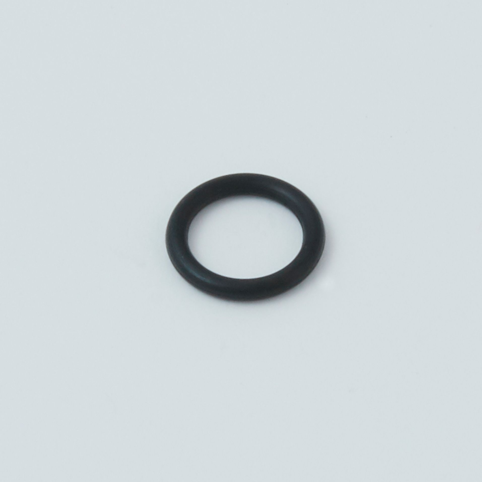 Black rubber O-ring on a light gray background