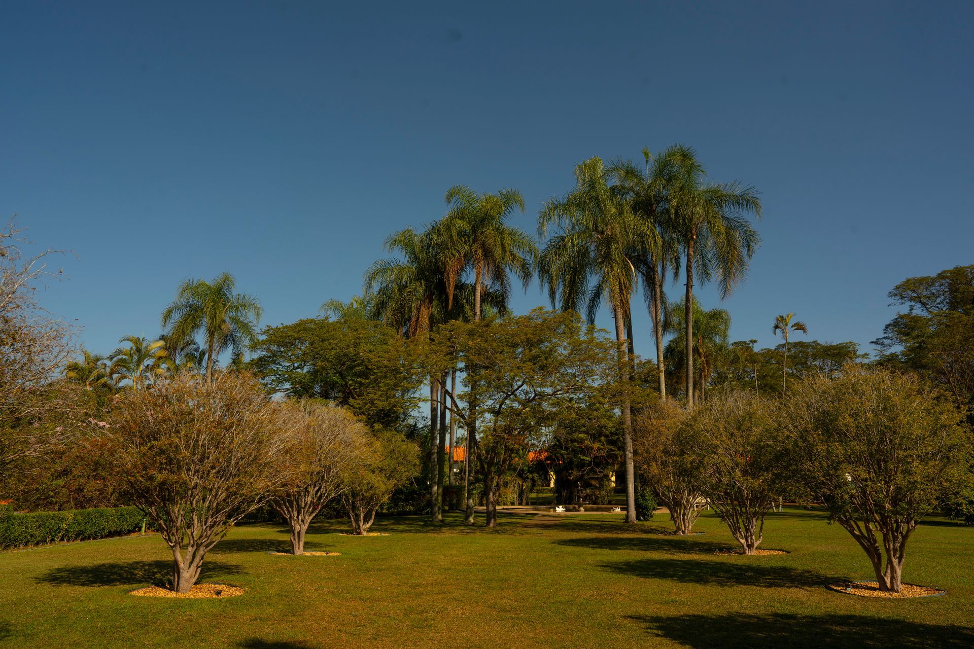 Ambiente para casamento ao ar livre em São Paulo com jardim e arquitetura sofisticada